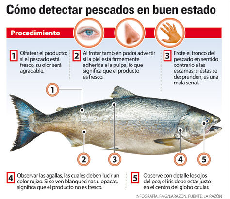 pescado2