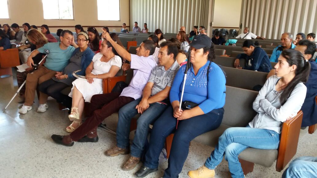 1 Comité Discapacidad 2017