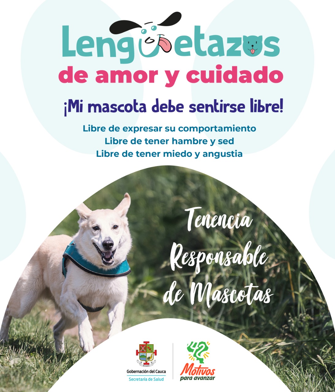 Mensaje tenencia responsable 2020 1