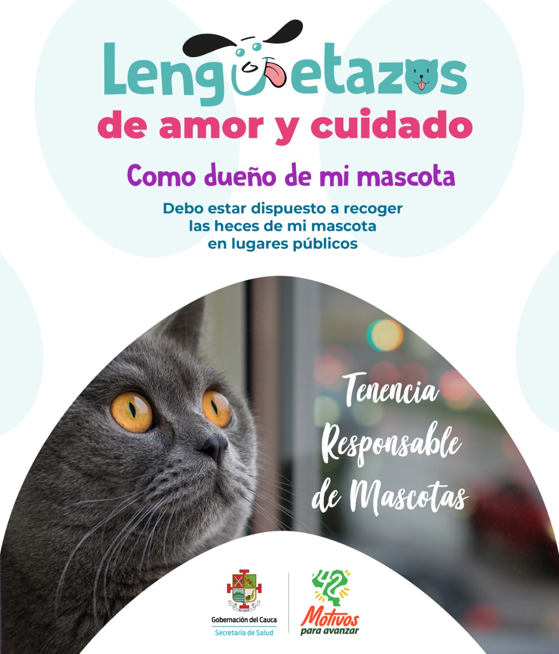 Mensaje tenencia responsable 2020 4