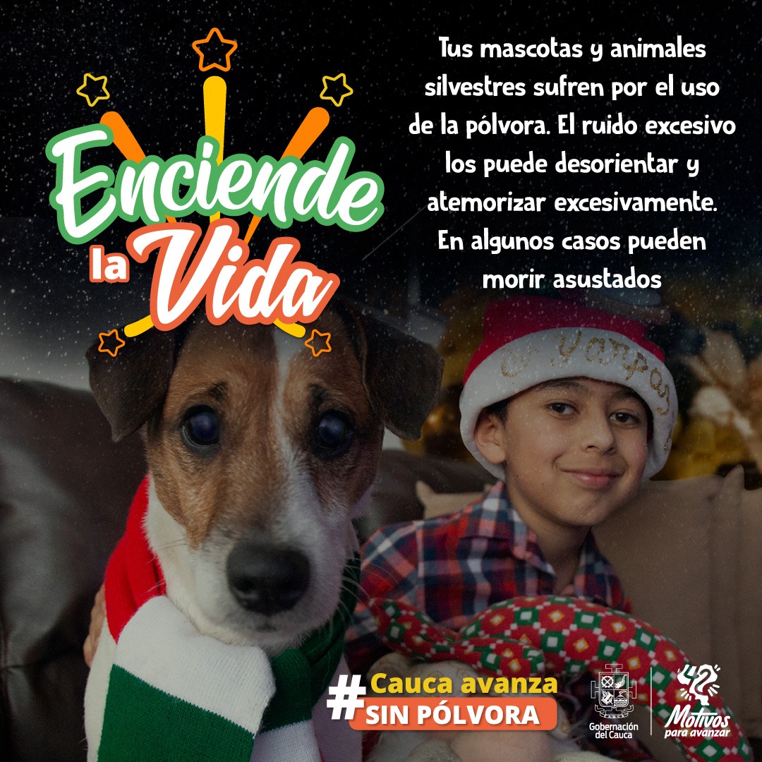 Campaña polvora 2021 2