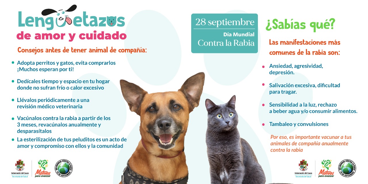 Recomendaciones para la tenencia responsable de mascotas