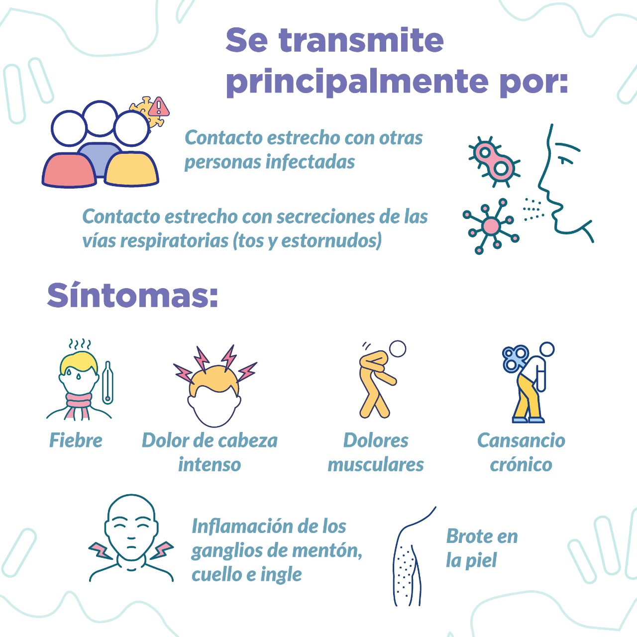 VIRUELA SIMICA Lo que debe saber 1