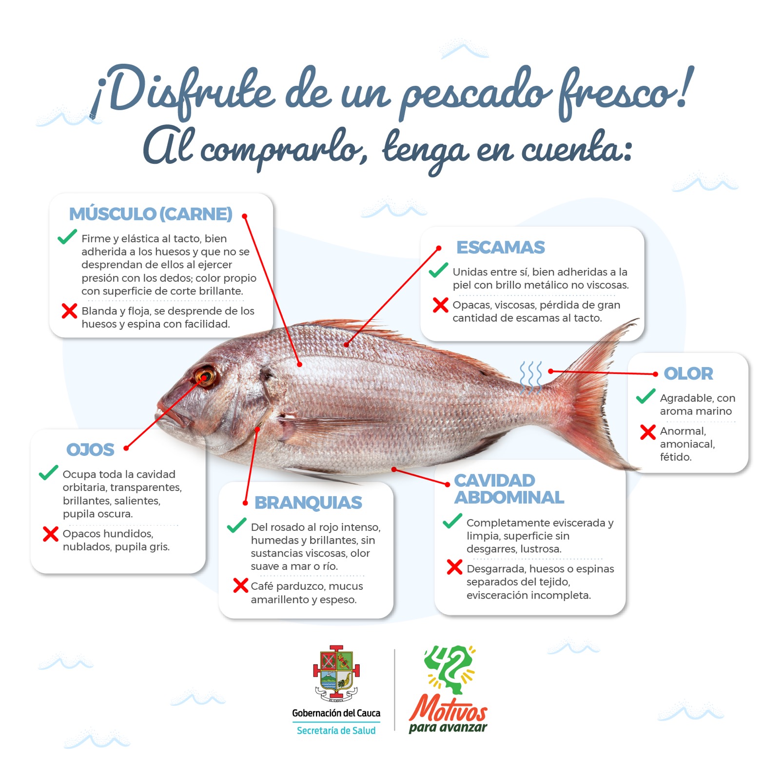 RECOMENDACIONES CONSUMO PESCADO